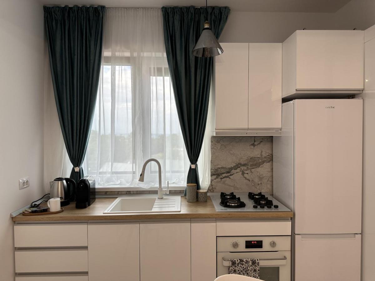 Apartament In Suceava, Zamca公寓 外观 照片